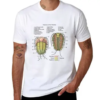 Новая футболка с диаграммой морфологии трилобита, футболка оверсайз, футболка на заказ, футболки для тяжеловесов, милая одежда, мужские тренировочные рубашки