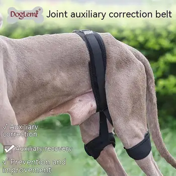Ремень для защиты суставов задних лап собаки, пояс для восстановления здоровья, Вспомогательная коррекция тазобедренного сустава собаки, аксессуары для собак