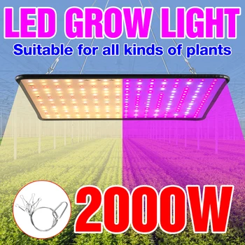Светодиодный светильник для выращивания растений с полным спектром квантовой платы, фитолампа для гидропоники в теплице, палатка для выращивания цветов в ящике для выращивания цветов