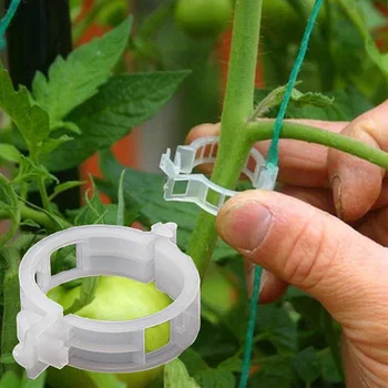 100шт пластиковых зажимов для поддержки растений многоразовый инструмент для защиты растений от виноградных лоз, прививки и крепления садовых принадлежностей для овощей, томатов