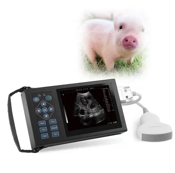 Медицинские Портативные ультразвуковые зонды Zetop Ветеринарный Ручной физиотерапевтический аппарат для ультразвуковой терапии